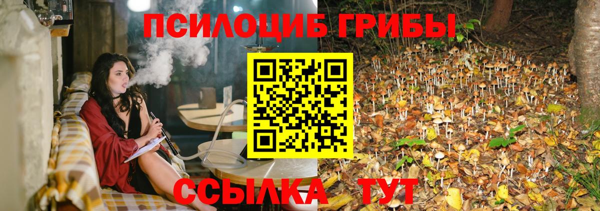 Галлюциногенные грибы GOLDEN TEACHER Ишим
